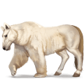 wild horse polar bear