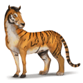 wild horse tiger