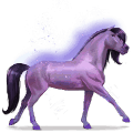 horse of the rainbow brave purple