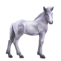 divine horse greyfell   3