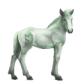 divine horse greyfell  10