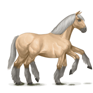 palomino sleipnir